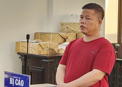 Phạt tù tài xế không cứu người vụ tai nạn 4 hành khách tử vong trên cao tốc