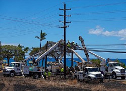 Công ty điện lực bị kiện vì thảm họa cháy rừng ở Hawaii