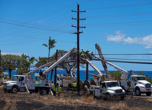 Công ty điện lực bị kiện vì thảm họa cháy rừng ở Hawaii