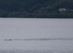 Bức ảnh mới nhất chụp 'quái vật Loch Ness' đang gây xôn xao