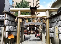 Khám phá 5 cánh cổng torii độc đáo ở Nhật Bản