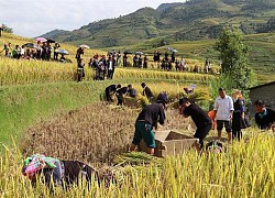 Mù Cang Chải tạo điểm nhấn thu hút du khách