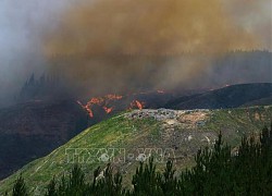 New Zealand cảnh báo thời tiết bất thường do ảnh hưởng của El Nino