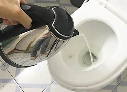 Nhận phòng khách sạn hãy đun nước sôi đổ vào toilet ngay lập tức: Hóa ra vì lý do này