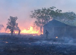 Cháy rừng phòng hộ, cả làng cùng tham gia dập lửa trong ngày nghỉ lễ