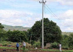 Điện lực Phú Yên nói gì sau vụ tai nạn lao động khiến hai nhân viên thương vong?