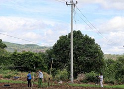 Tai nạn khi sửa điện, 2 công nhân thương vong