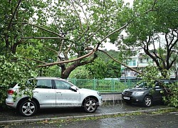 Trung Quốc duy trì ứng phó bão lũ khẩn cấp ở nhiều tỉnh miền Nam