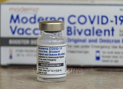 COVID-19: Vaccine cải tiến của Moderna, Pfizer có hiệu quả cao trong ngừa biến thể BA.2.86