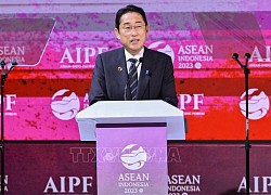 Hội nghị Cấp cao ASEAN lần thứ 43: Nhật Bản công bố sáng kiến kết nối toàn diện