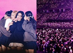 BLACKPINK đứng trước nguy cơ tan rã BLINK đã vội &#8220;làm càn&#8221;, netizen phẫn nộ: &#8220;Cố chứng tỏ điều gì?&#8221;