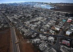 Hawaii (Mỹ) cập nhật số người thiệt mạng trong thảm họa cháy rừng