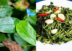 Thứ rau dại giá 70.000 đồng/kg trước chả ai thèm ăn, bỗng chốc thành đặc sản dân thành phố săn lùng