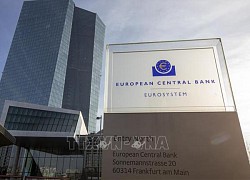 Quan chức ECB để ngỏ khả năng duy trì lãi suất ở mức cao