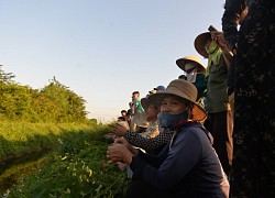 Thi thể trên sông Đuống khả năng là nghi phạm sát hại cháu bé 21 tháng tuổi