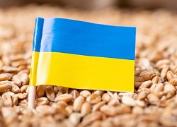 Ukraine kêu gọi 'người bạn' Ba Lan 'gạt cảm xúc sang một bên', tìm hướng đi cho ngũ cốc