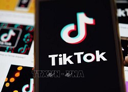 Indonesia: TikTok được cấp giấy phép kinh doanh thương mại điện tử