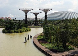 Singapore nỗ lực chống nóng