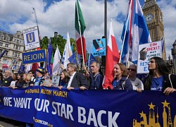 Hàng nghìn người Anh biểu tình phản đối Brexit, đòi tái gia nhập EU