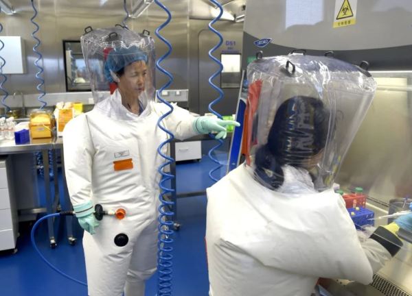 Nhà khoa học 'người dơi' Trung Quốc cảnh báo virus Corona có thể lại bùng phát