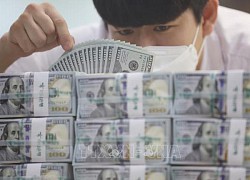Nhiều tín hiệu cho thấy chu kỳ tăng lãi suất toàn cầu đã chấm dứt
