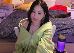 Tưởng "giật tít" là hay, nữ streamer ngẩn người khi nhận án phạt kịch khung