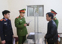 Bắt giam 3 đối tượng mua bán gấu chó, rắn hổ mang chúa