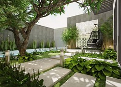 Gợi ý một số xu hướng thiết kế không gian xanh cho nhà phố