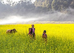 Sơn La - Trải nghiệm bốn mùa trọn vẹn