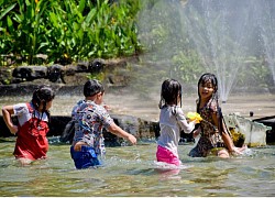 Khám phá &#8220;Biển trên rừng&#8221; &#8211; Bức tranh thiên nhiên hoàn hảo Suối Mơ