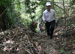 Khám phá nét hoang sơ của thác Liêng Puh Pêt
