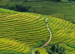 Nậm Cang - Sa Pa, bình yên mà hấp dẫn
