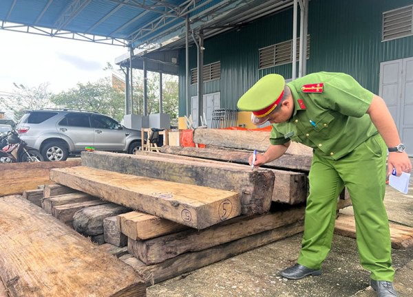 Ngăn chặn tình trạng khai thác, vận chuyển, tàng trữ trái phép lâm sản