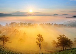 Ngắm nhìn cảnh sắc đẹp mê hồn của thiên nhiên Lâm Đồng