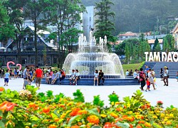 Tản mạn về Tam Đảo