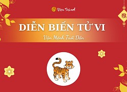 Tử vi tuổi Dần năm 2024: Tiền bạc thăng trầm, chú ý sức khỏe