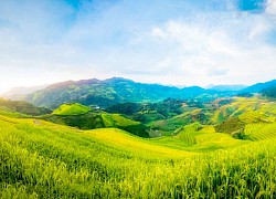 Tủa Chùa - Cô sơn nữ ẩn hiện giữa mây ngàn Tây Bắc