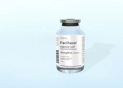 Bước đột phá trong quá trình sinh tổng hợp thuốc điều trị ung thư Paclitaxel