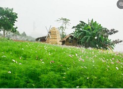 Check-in địa điểm 'Đi về nơi có gió' ở Quảng Ngãi