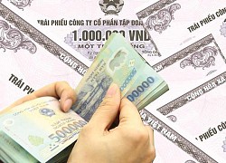 Cựu chủ tịch Sen Tài Thu và con gái huy động 1.000 tỷ như thế nào?