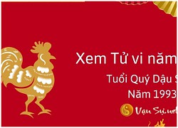 Tử vi tuổi Dậu năm 2024 chi tiết từng năm sinh