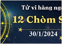 Tử vi tuần mới từ 29/1 đến 4/2/2024, 4 con giáp càng cuối năm càng đỏ như son