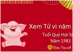 Tử vi tuổi Hợi năm 2024 chi tiết từng năm sinh