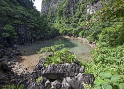 Áng Tiên - Bảo tàng thiên nhiên trong lòng di sản Vịnh Hạ Long