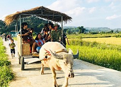 Che Căn - Bản du lịch cộng đồng