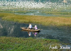 Chiều đông về trên đầm Vân Long