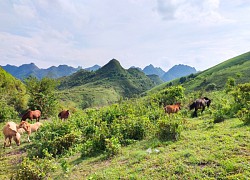 Chinh phục cao nguyên Luốc Đắc