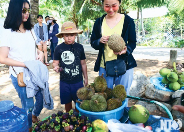 Đến với cảnh đẹp Ninh Sơn