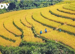 Du Xuân... ở Bình Liêu!