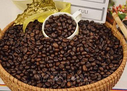 Hàn Quốc gia hạn miễn thuế đối với cà phê, cacao nhập khẩu